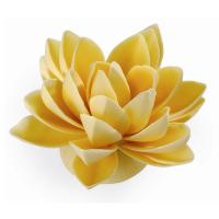 0e0f7ae7-c6e4-4b13-8393-a09bde9d2ba6