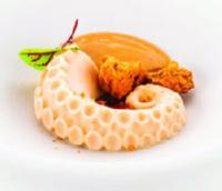 062a8c2b-677a-4d22-92c6-a2696fc0fccd