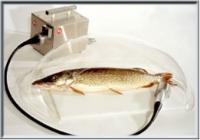 4102f755-d59d-4301-bf9e-dffc0bd89cb6