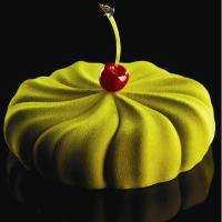 d25443d4-4547-46a5-8d58-875e3db9e17e