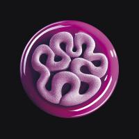 d7d61b68-7fbf-4fe2-aed1-1ea1be2bc9bf